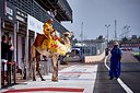 2017_wtcc_marrakech_0162.jpg