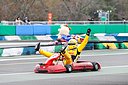 WTCC_MOTEGI_2017_0142 (1).jpg