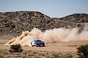 DAK24_237_MGebbia-Rallyzone_6497.jpg