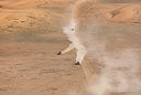 240115_Stage8_237 Coronel_PRDR3588.jpg