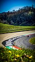 965(7).jpg